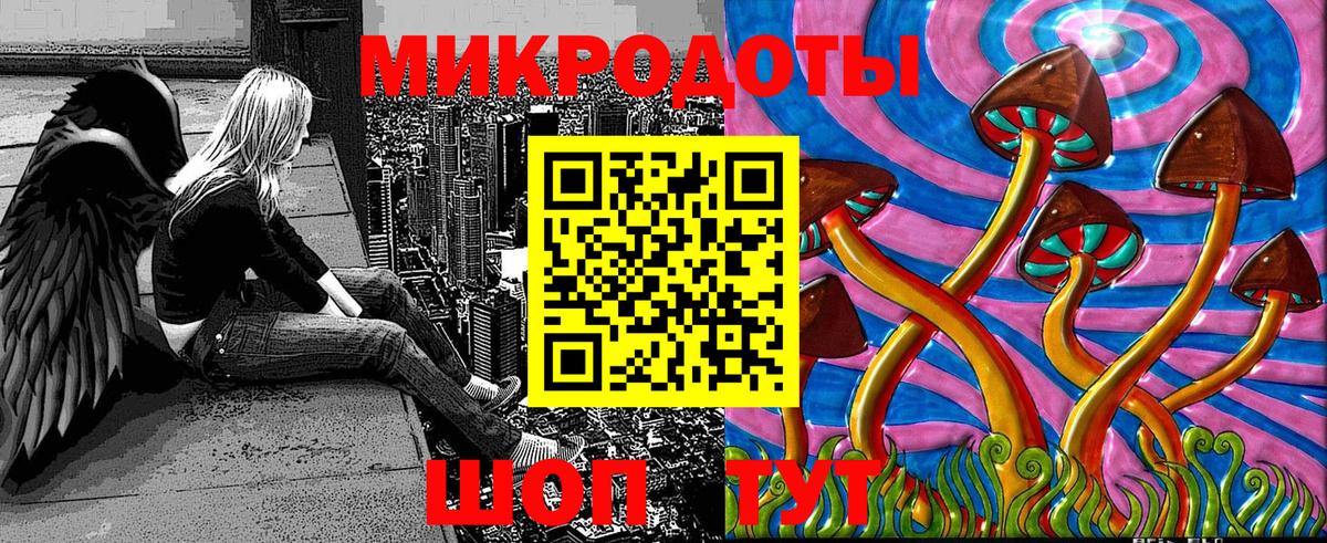 Псилоцибиновые грибы Cubensis Астрахань