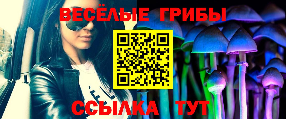 купить закладку  Псилоцибиновые грибы мицелий  Вход с VPN  Астрахань 